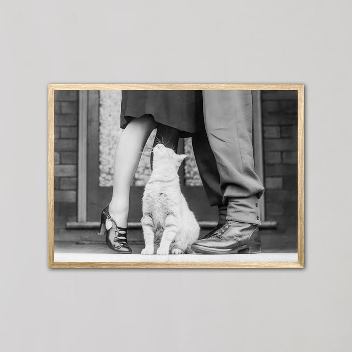 Cat Lovers Vintage Photograph Wall Art - Style My Wall