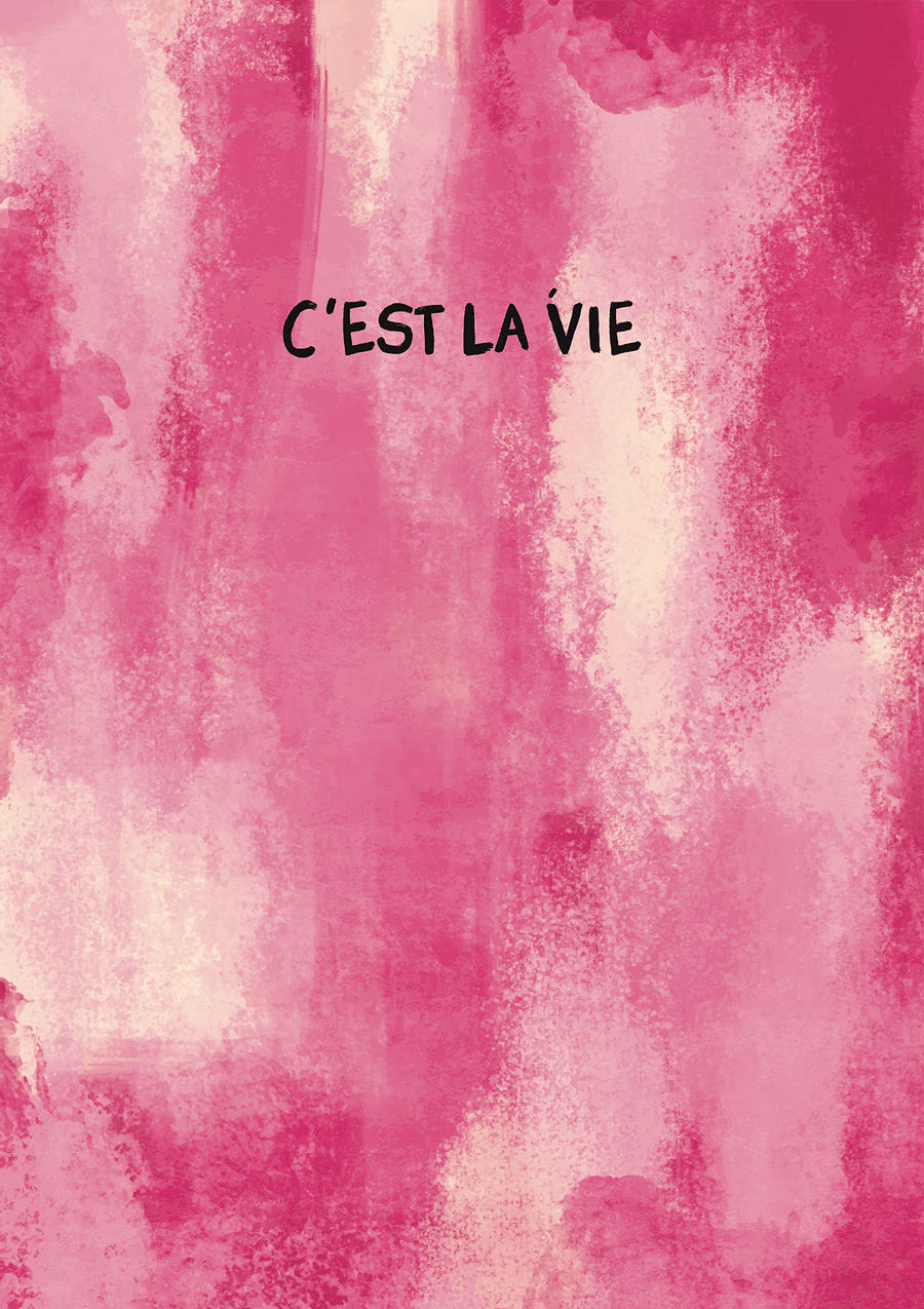 Cest La Vie Pink Wall Art fun