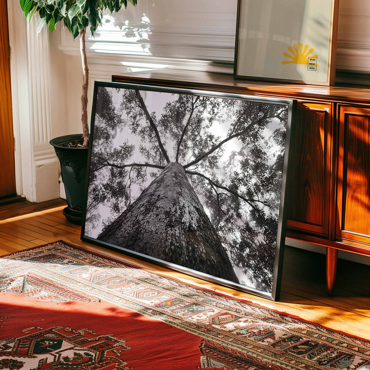 Crown of the Earth Photograph wall - art - picture - poster