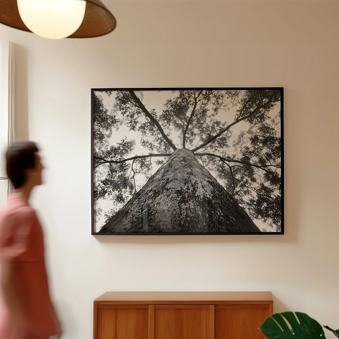 Crown of the Earth Photograph wall - art - picture - poster