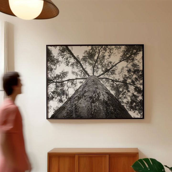 Crown of the Earth Photograph wall - art - picture - poster