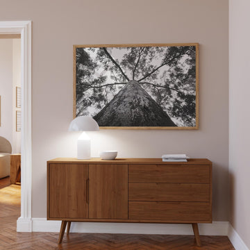 Crown of the Earth Photograph wall - art - picture - poster