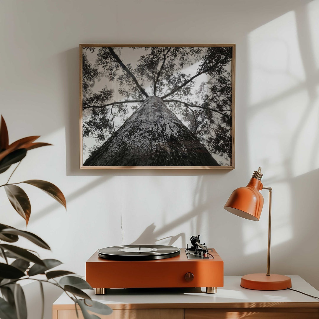 Crown of the Earth Photograph wall - art - picture - poster