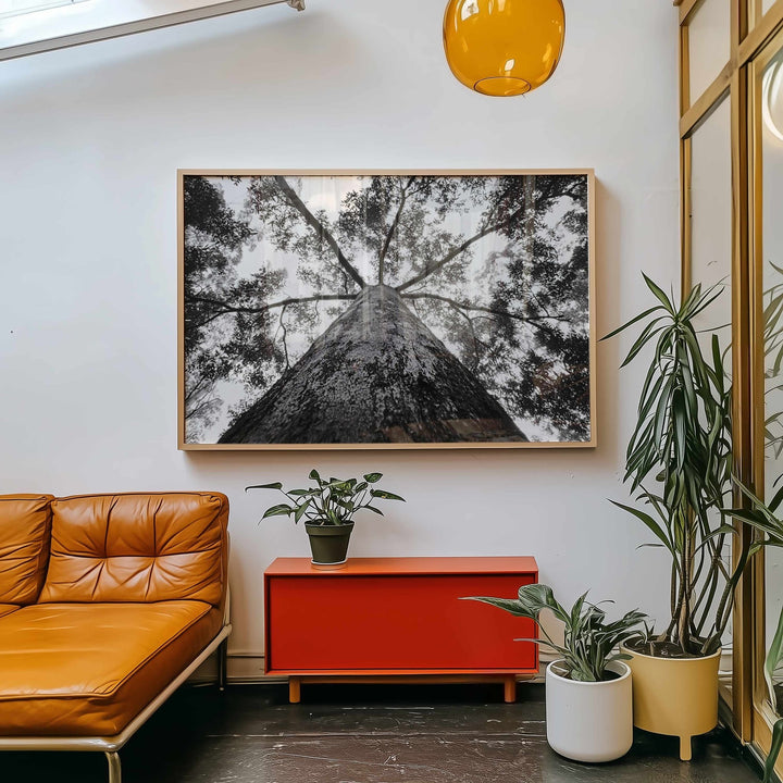 Crown of the Earth Photograph wall - art - picture - poster