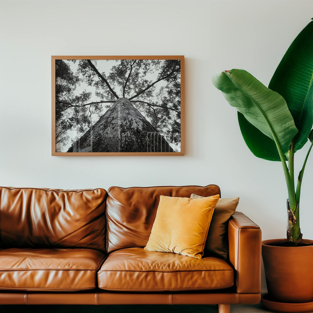 Crown of the Earth Photograph wall - art - picture - poster