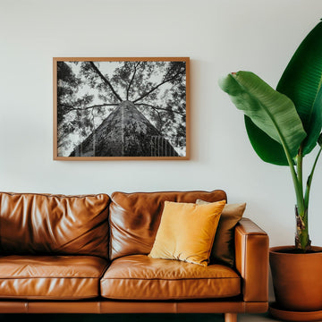 Crown of the Earth Photograph wall - art - picture - poster