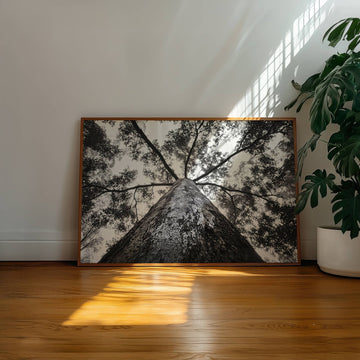 Crown of the Earth Photograph wall - art - picture - poster