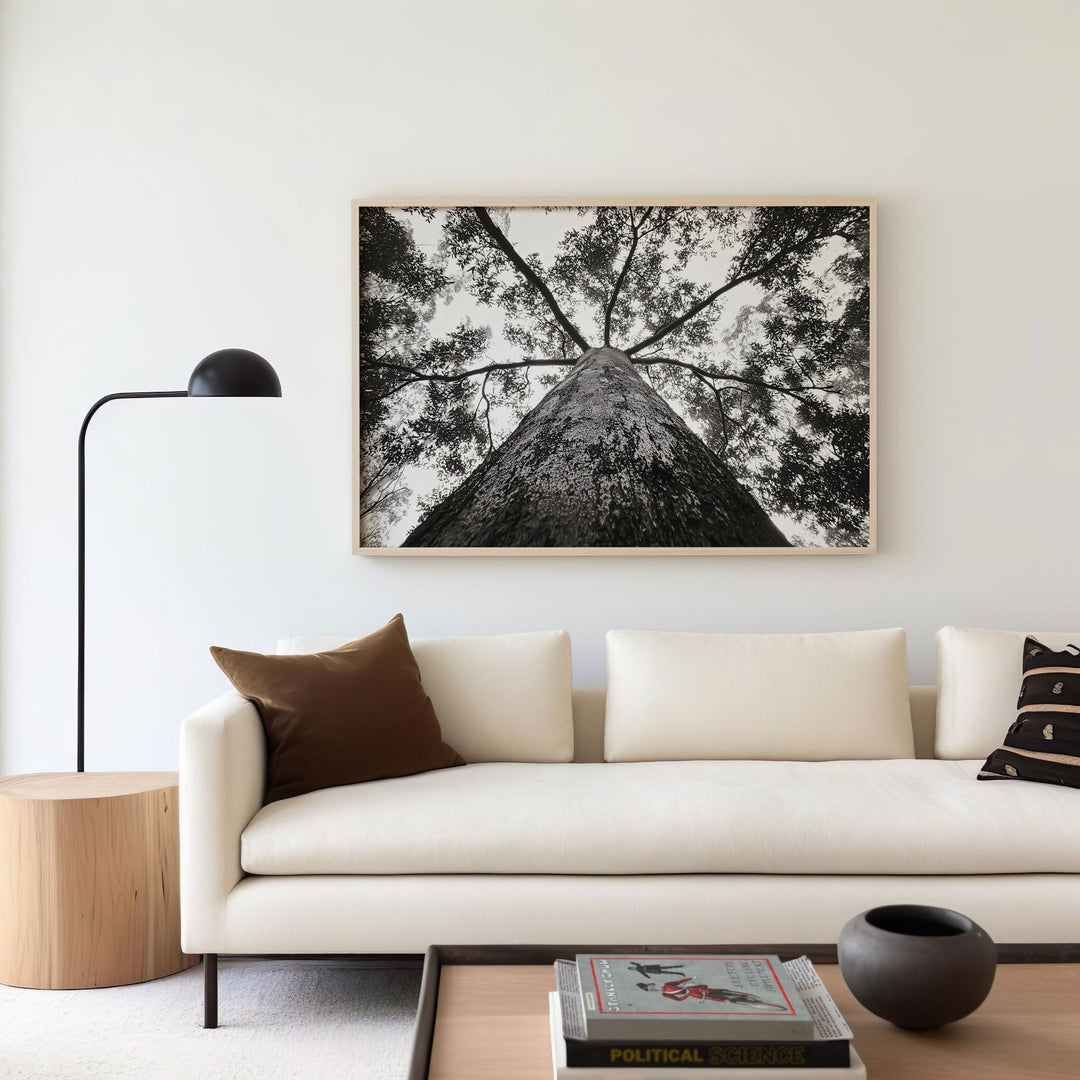 Crown of the Earth Photograph wall - art - picture - poster