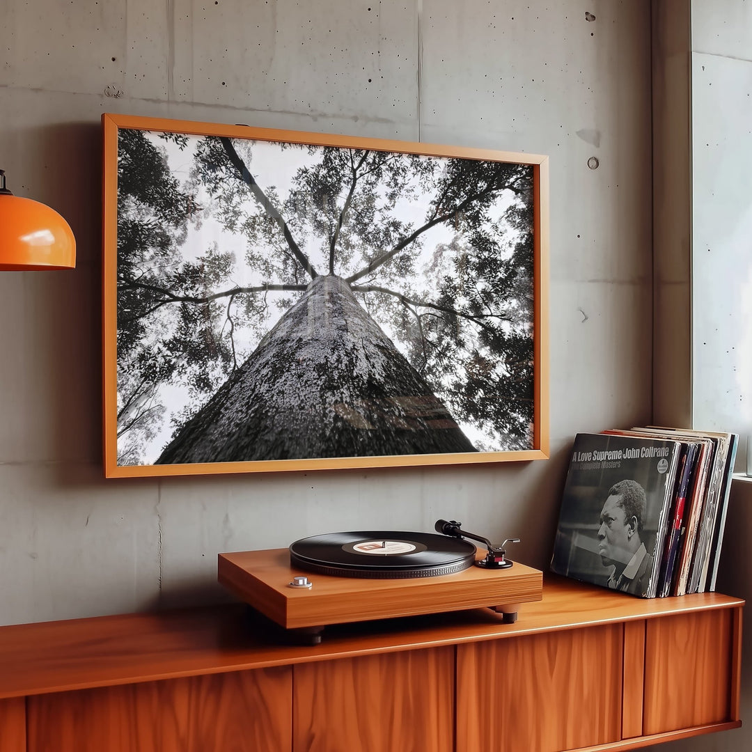 Crown of the Earth Photograph wall - art - picture - poster