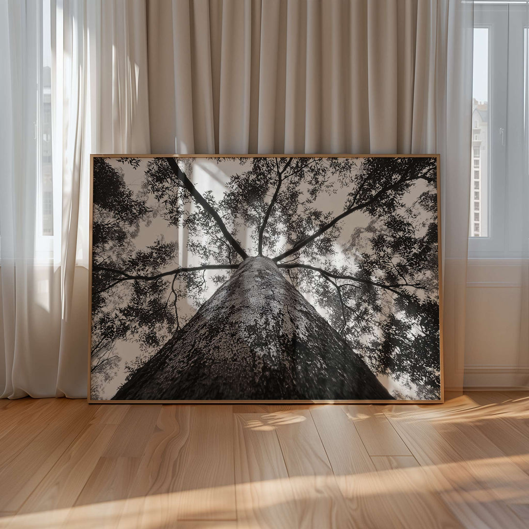 Crown of the Earth Photograph wall - art - picture - poster