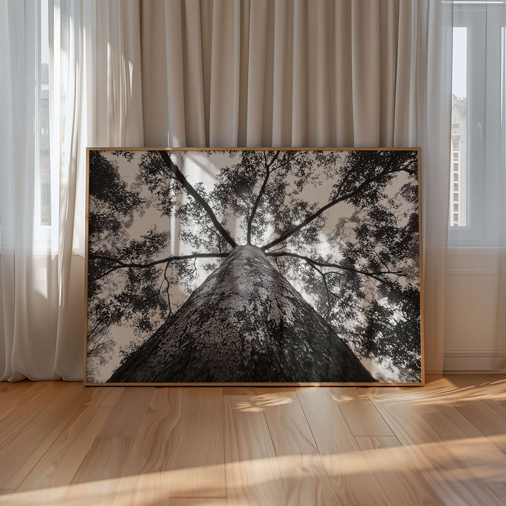 Crown of the Earth Photograph wall - art - picture - poster