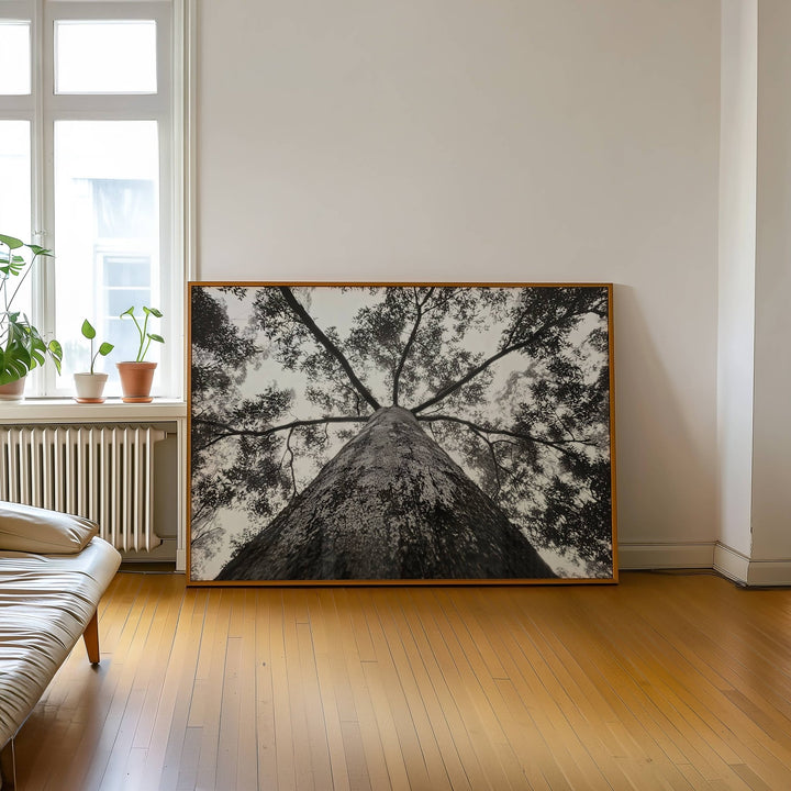 Crown of the Earth Photograph wall - art - picture - poster