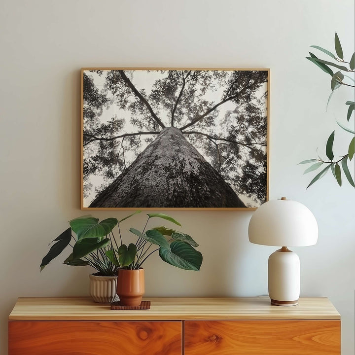 Crown of the Earth Photograph wall - art - picture - poster