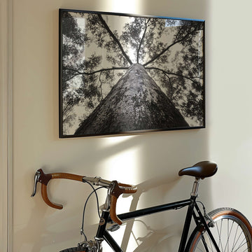 Crown of the Earth Photograph wall - art - picture - poster