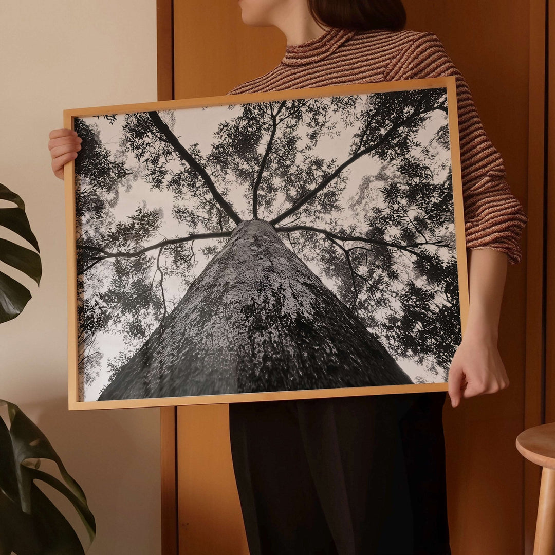 Crown of the Earth Photograph wall - art - picture - poster