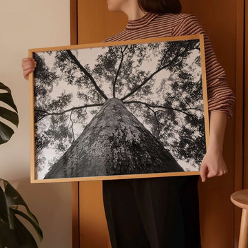 Crown of the Earth Photograph wall - art - picture - poster