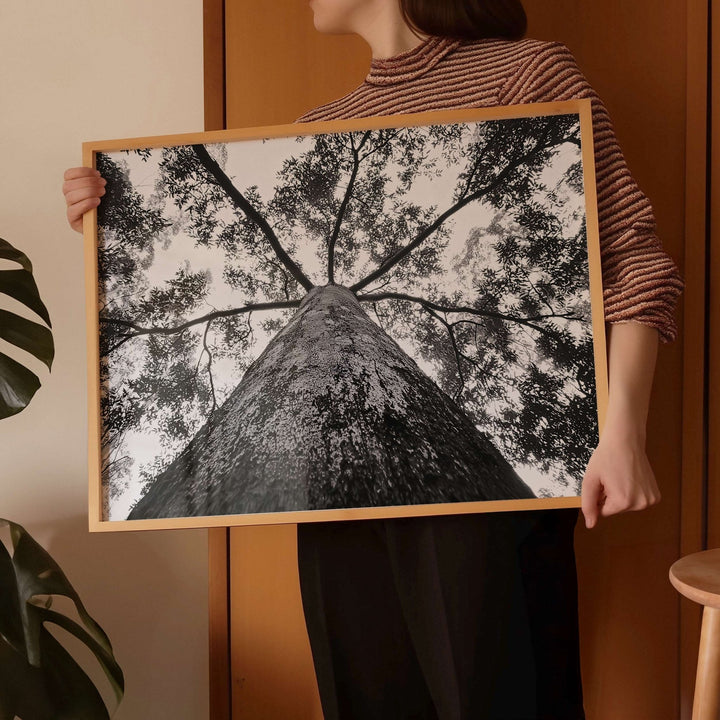 Crown of the Earth Photograph wall - art - picture - poster