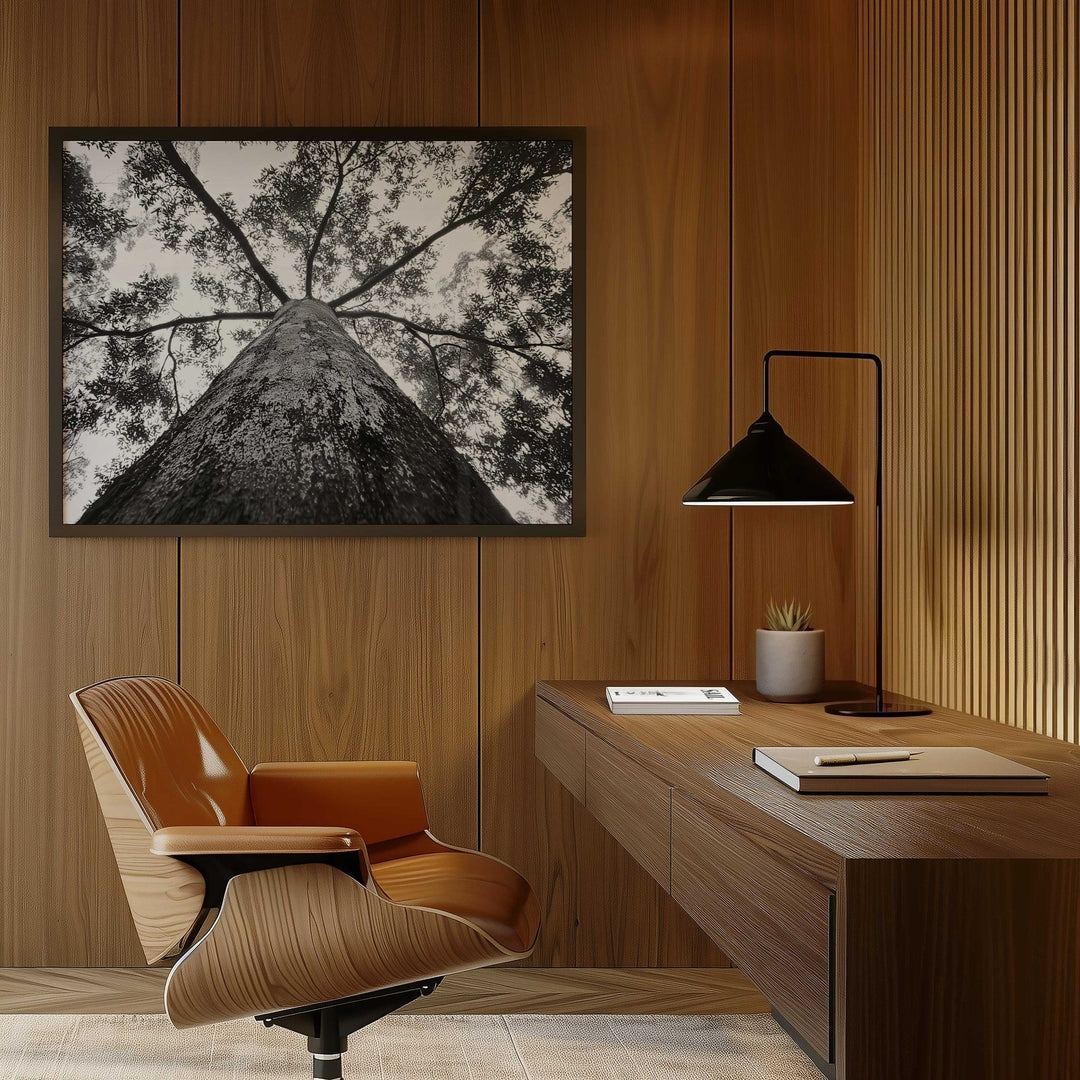 Crown of the Earth Photograph wall - art - picture - poster