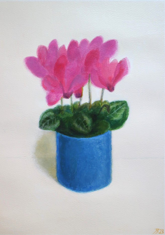 Cyclamen Flowers by Ieva Baklane