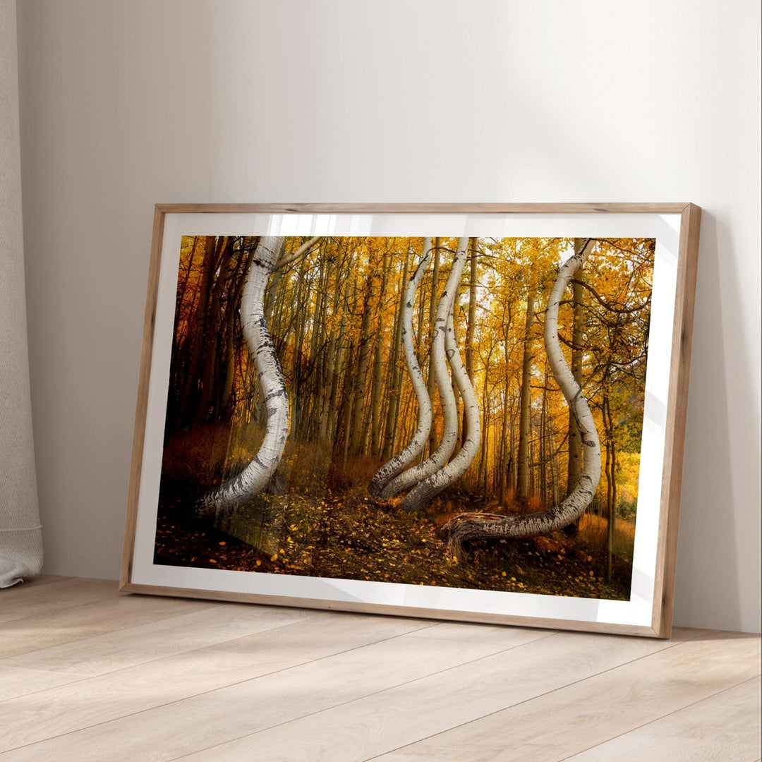 artwork of a forest scene with twisted trees on a wall.