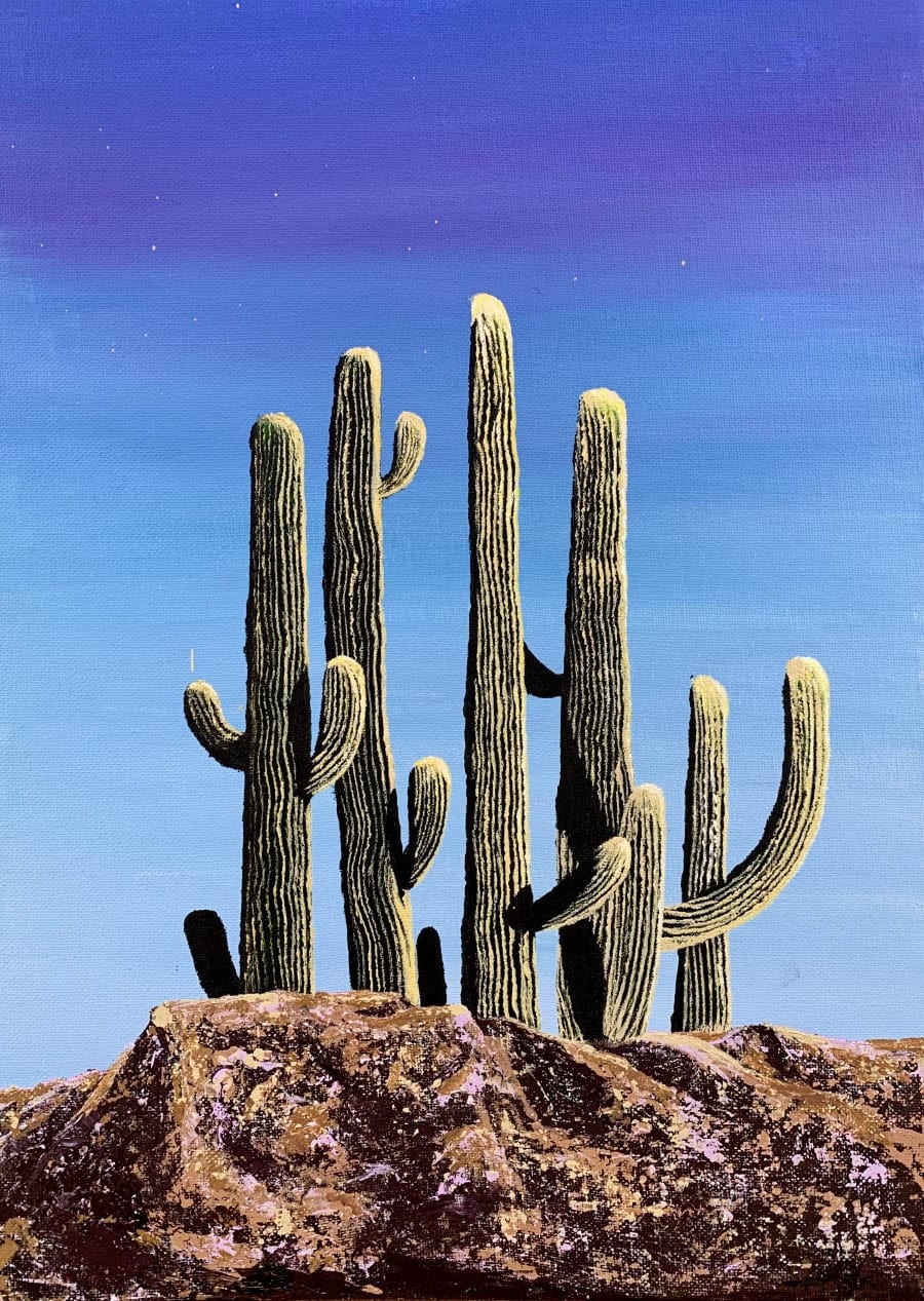 Desert Row By Lucy Reed
