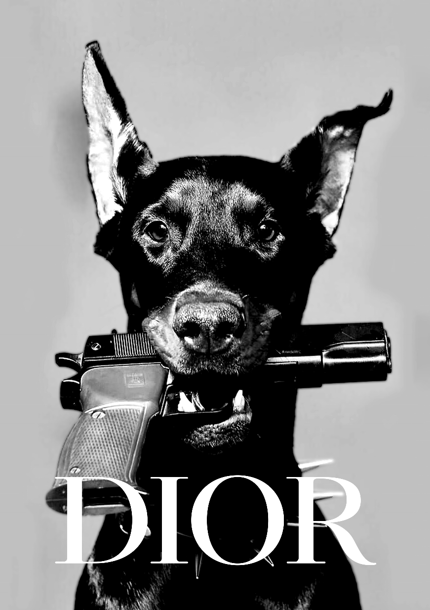 Dior Dobermann Photograph
