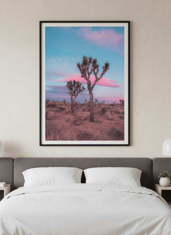 Dreamy Pastel Sunset In Joshua Tree By Tom Windeknecht