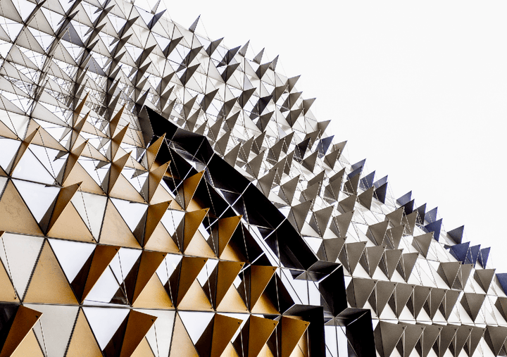 Echnida Building by Nicole Hunter frame