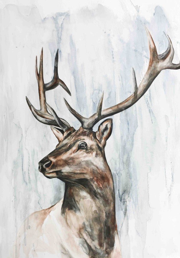 Elk Study by Meredith O'Neal