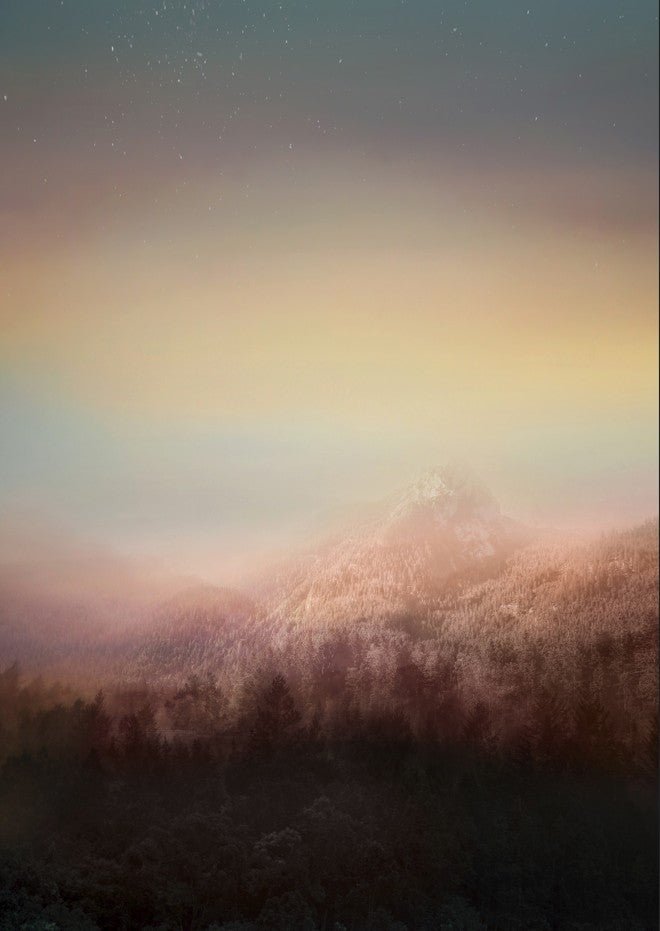Enchanted Forest by Hope Bainbridge