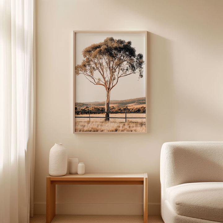 Eucalupt Essence Australian Photograph wall - art - picture - poster