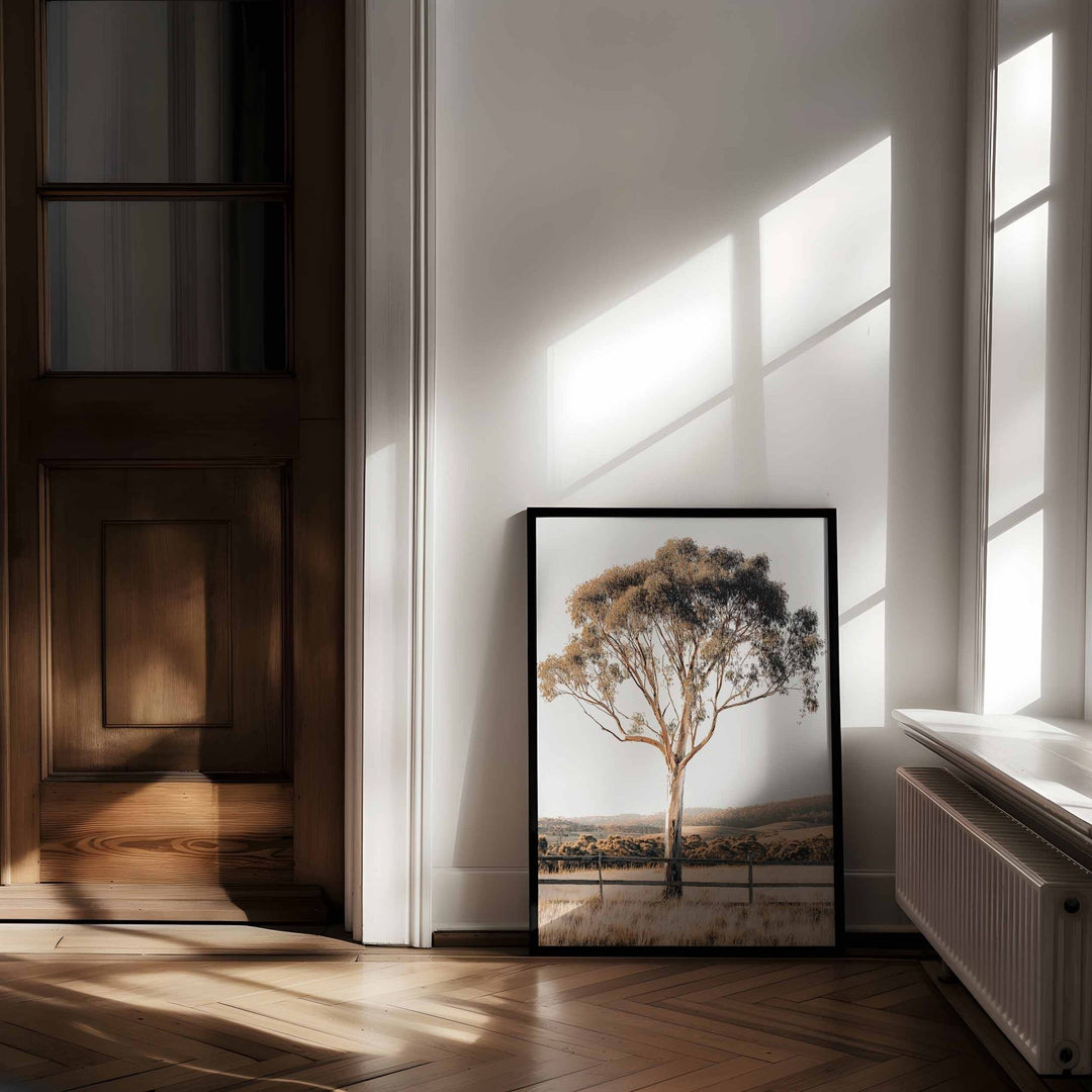 Eucalupt Essence Australian Photograph wall - art - picture - poster