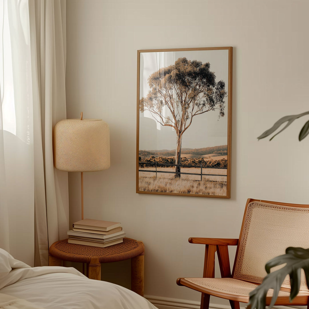 Eucalupt Essence Australian Photograph wall - art - picture - poster