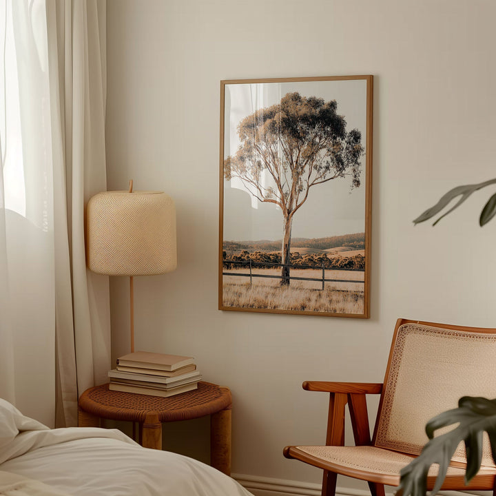 Eucalupt Essence Australian Photograph wall - art - picture - poster