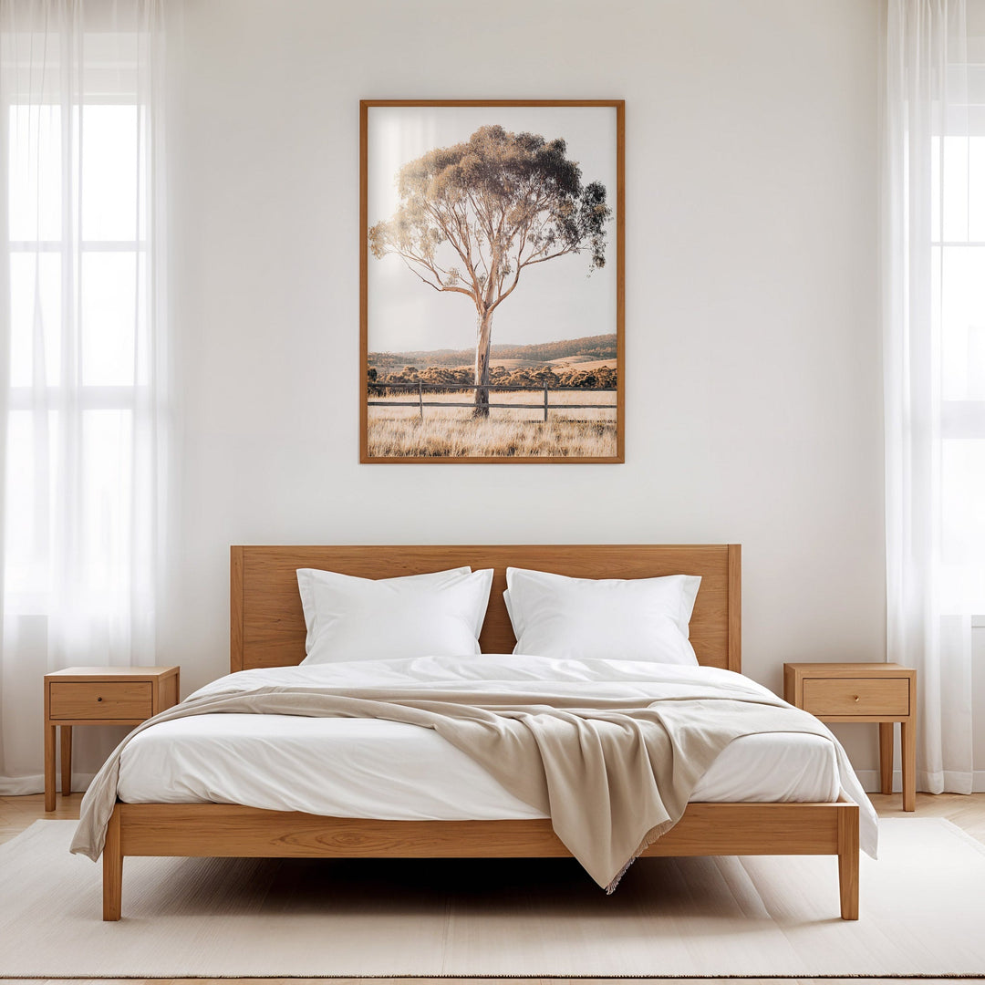 Eucalupt Essence Australian Photograph wall - art - picture - poster