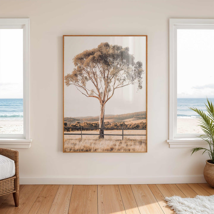 Eucalupt Essence Australian Photograph wall - art - picture - poster