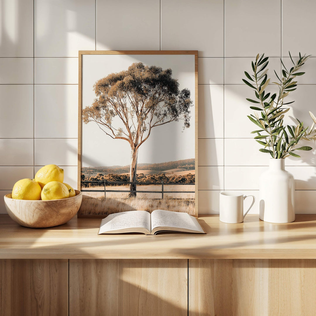 Eucalupt Essence Australian Photograph wall - art - picture - poster