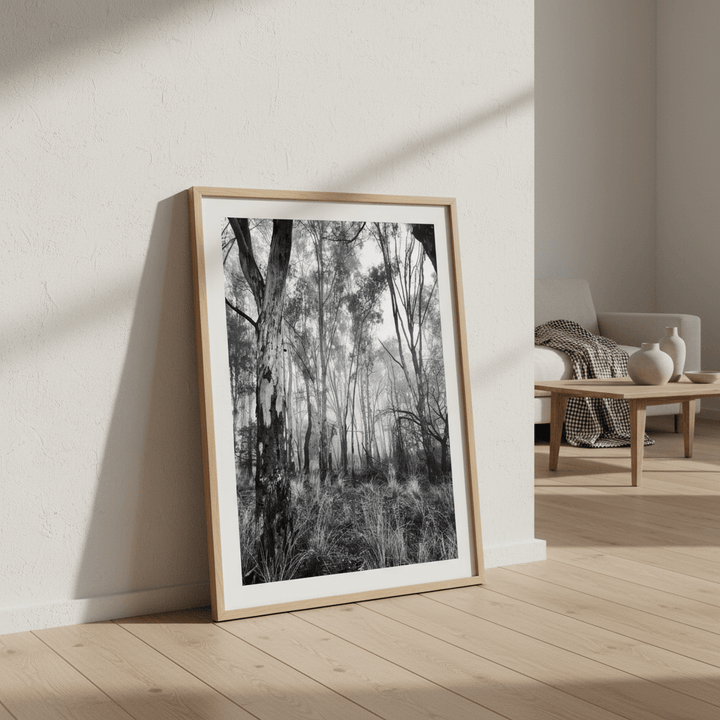 Eucalyptus Fog by Nicole Hunter wall - art - picture - poster