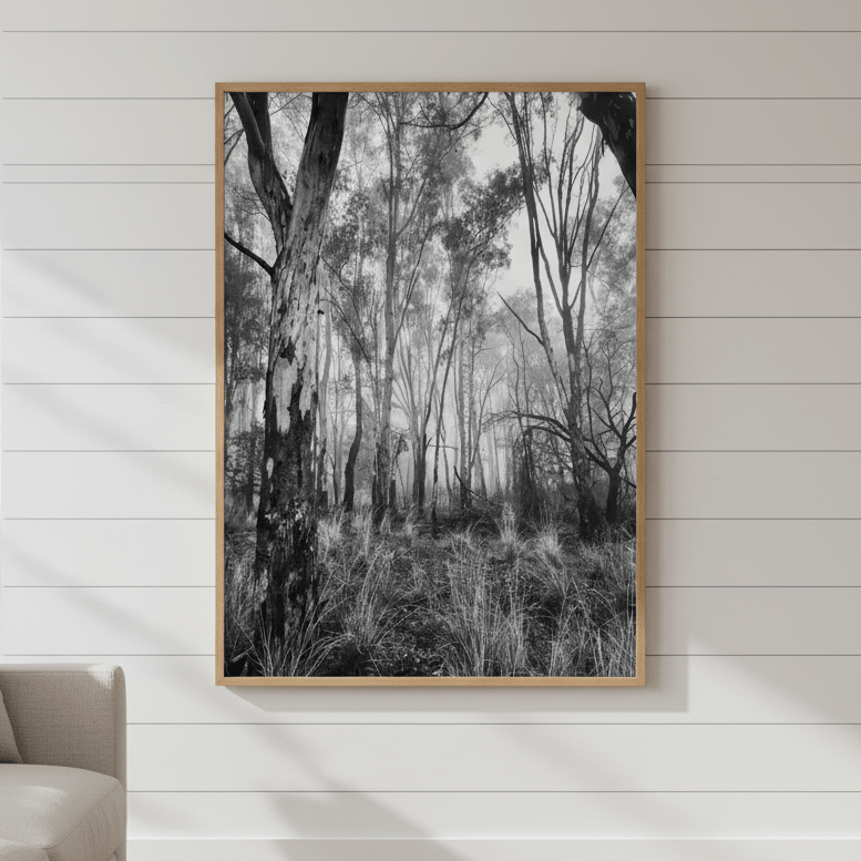 Eucalyptus Fog by Nicole Hunter wall - art - picture - poster