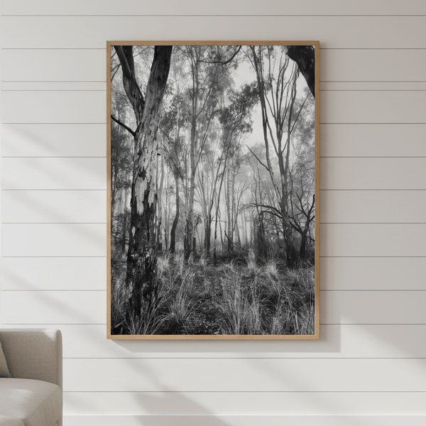 Eucalyptus Fog by Nicole Hunter