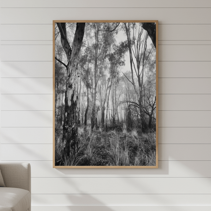 Eucalyptus Fog by Nicole Hunter wall - art - picture - poster