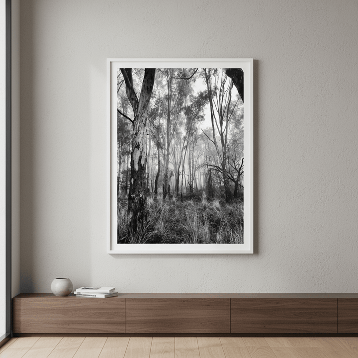 Eucalyptus Fog by Nicole Hunter wall - art - picture - poster