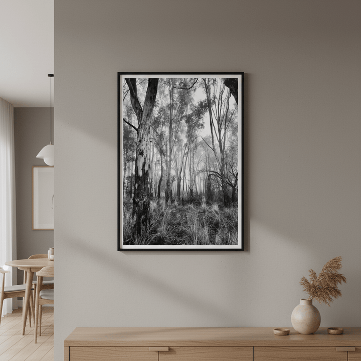 Eucalyptus Fog by Nicole Hunter wall - art - picture - poster