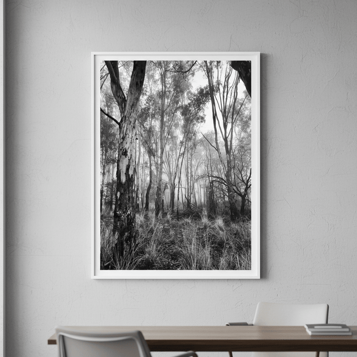 Eucalyptus Fog by Nicole Hunter wall - art - picture - poster