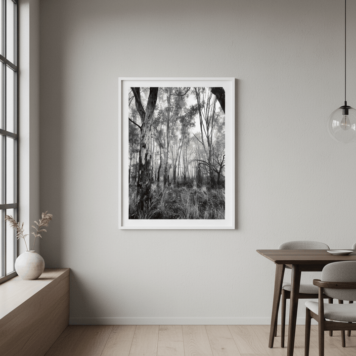 Eucalyptus Fog by Nicole Hunter wall - art - picture - poster