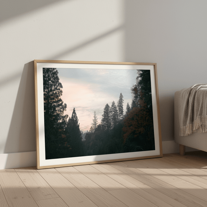 Evening Drive by Hope Bainbridge wall - art - picture - poster