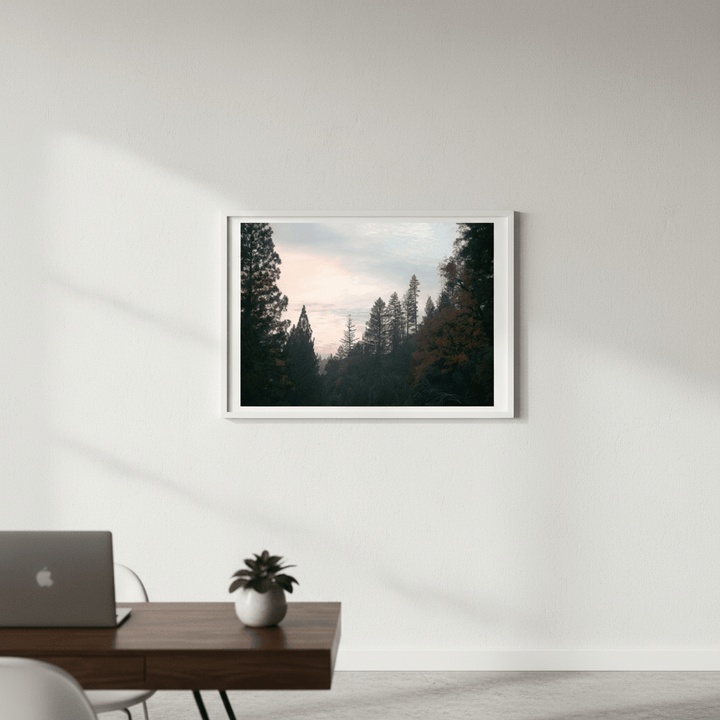 Evening Drive by Hope Bainbridge wall - art - picture - poster