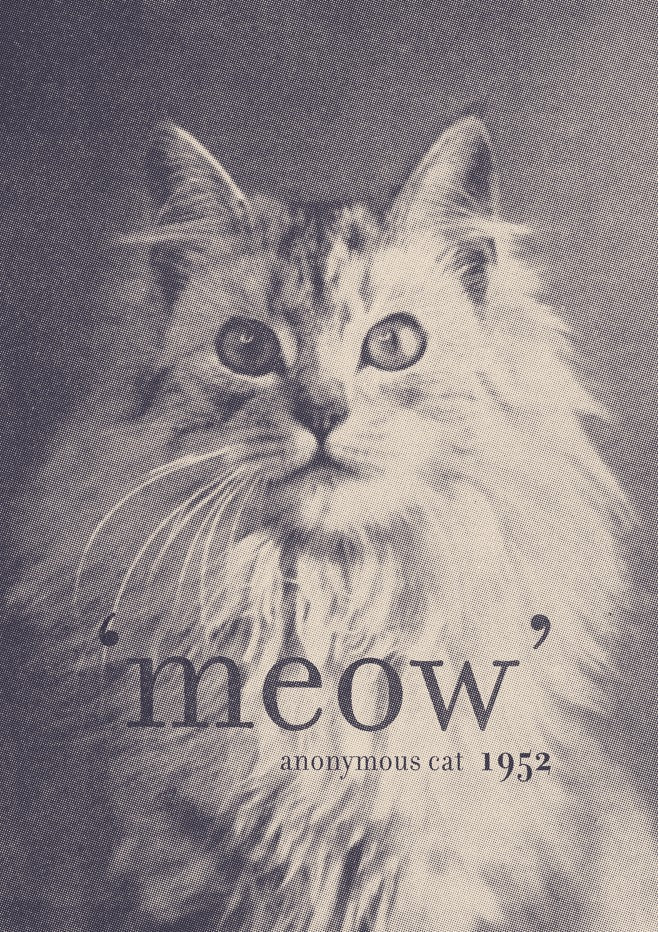 Famous Quote Cat by Florent Bodart