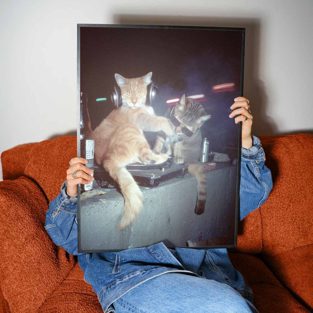 Feral After Dark Beats & Bad Decisions wall - art - picture - poster