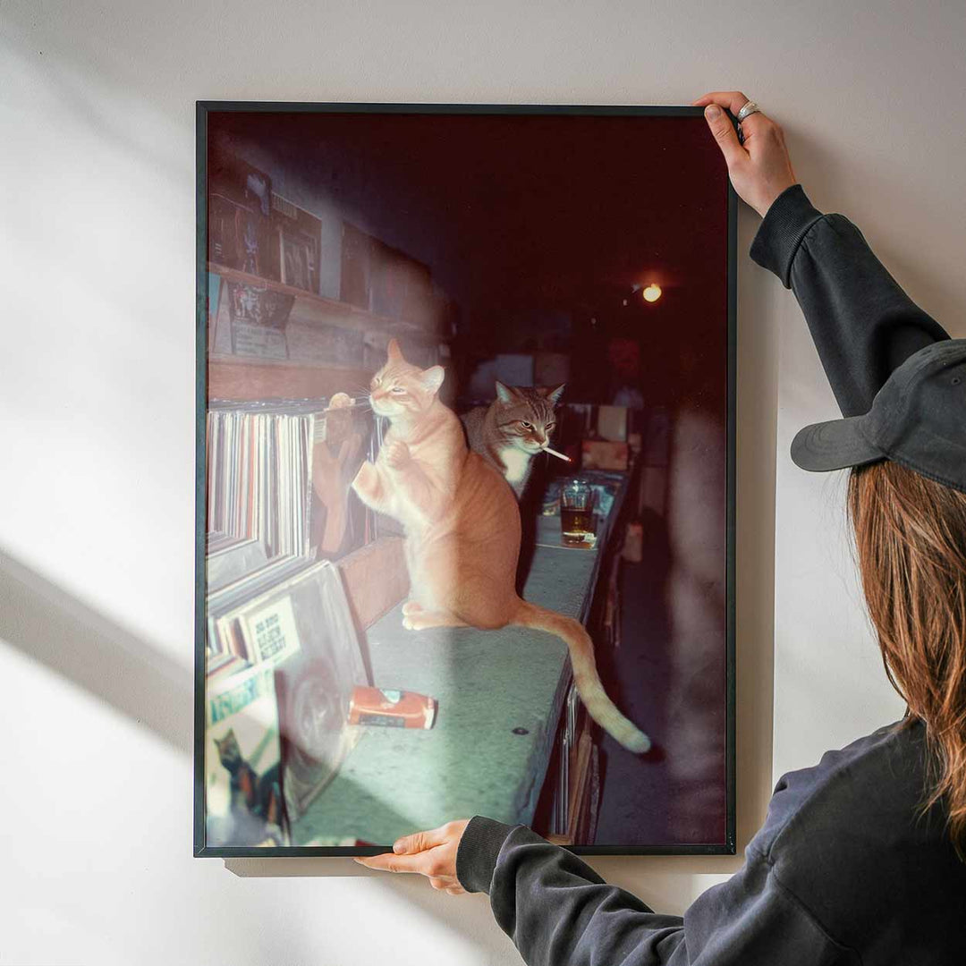 Feral After Dark Meow Mixes wall - art - picture - poster